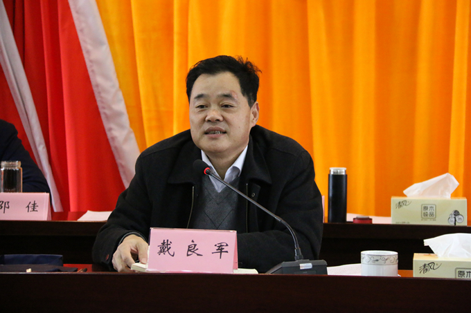 集團(tuán)黨委委員、副總經(jīng)理、總工程師戴良軍發(fā)表講話